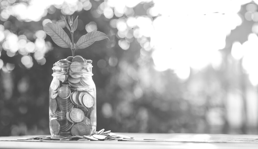 Image of money in jar growing a plant representing growing an organizations long-term reserves