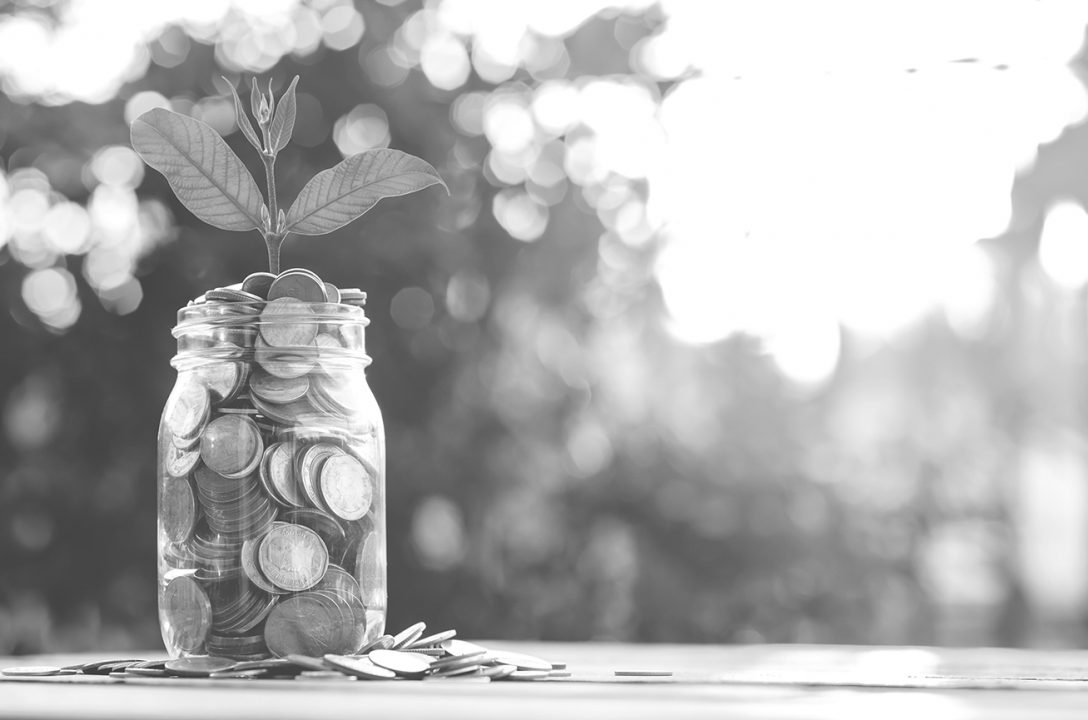 Image of money in jar growing a plant representing growing an organizations long-term reserves