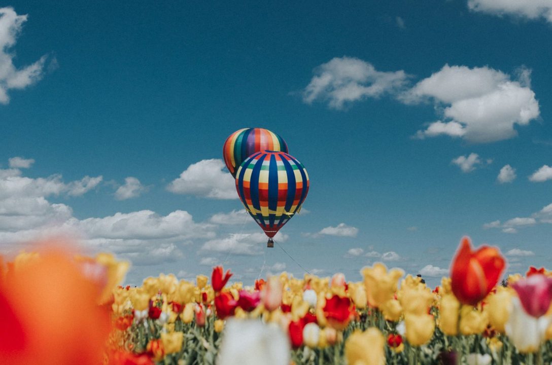 cole-keister-Z38tG-Wk2IQ-unsplash